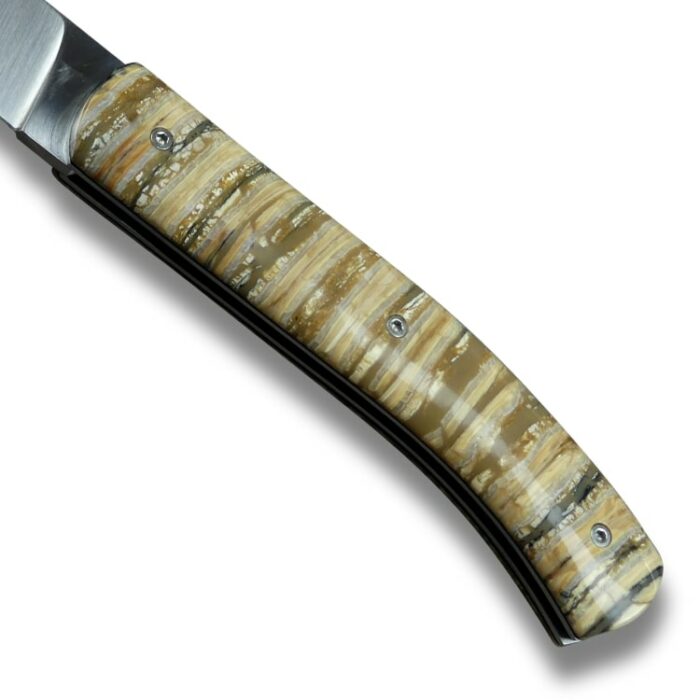 couteau molaire de mammouth manche beige