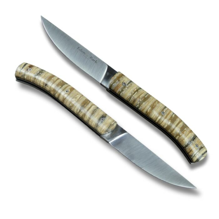couteau molaire de mammouth manche beige côté