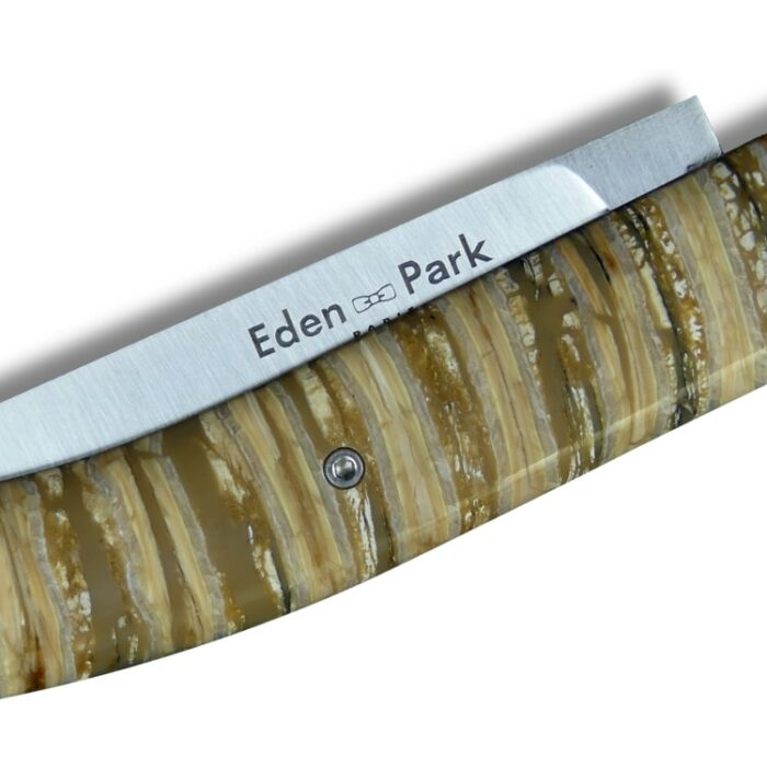 détails couteau eden park molaire mammouth beige