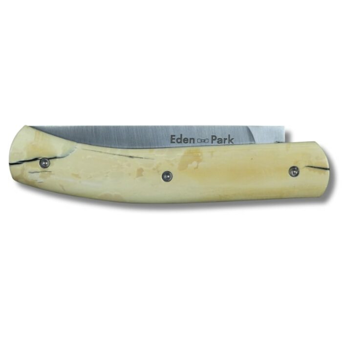 Couteau de poche pulpe de mammouth plié