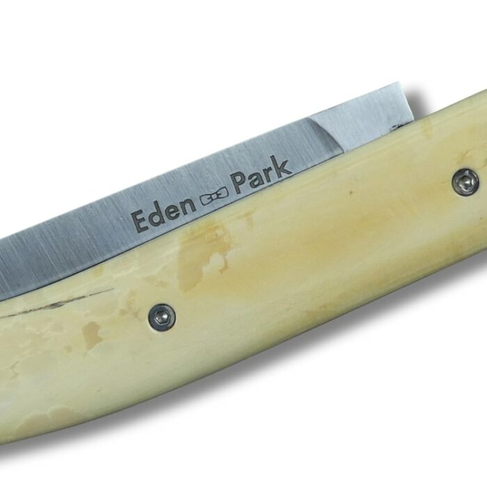 Détails couteau eden park pulpe de mammouth